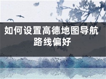 如何設(shè)置高德地圖導(dǎo)航路線偏好