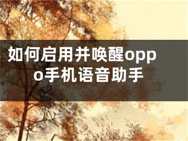 如何啟用并喚醒oppo手機(jī)語音助手