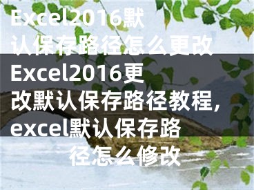 Excel2016默認(rèn)保存路徑怎么更改 Excel2016更改默認(rèn)保存路徑教程,excel默認(rèn)保存路徑怎么修改