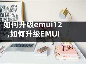 如何升級emui12,如何升級EMUI