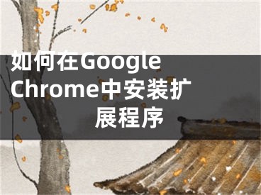 如何在Google Chrome中安裝擴(kuò)展程序