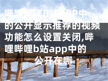 嗶哩嗶哩B站APP中的公開顯示推薦的視頻功能怎么設(shè)置關(guān)閉,嗶哩嗶哩b站app中的公開在哪