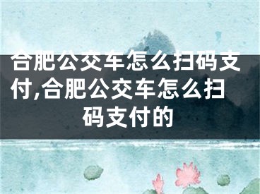 合肥公交車怎么掃碼支付,合肥公交車怎么掃碼支付的