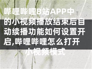 嗶哩嗶哩B站APP中的小視頻播放結(jié)束后自動續(xù)播功能如何設(shè)置開啟,嗶哩嗶哩怎么打開小視頻模式