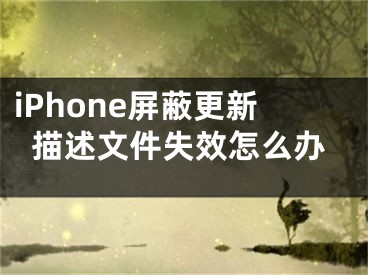 iPhone屏蔽更新描述文件失效怎么辦