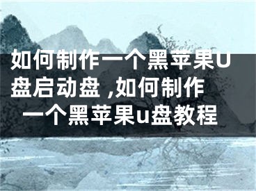 如何制作一個(gè)黑蘋果U盤啟動(dòng)盤 ,如何制作一個(gè)黑蘋果u盤教程