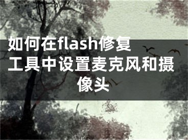 如何在flash修復(fù)工具中設(shè)置麥克風(fēng)和攝像頭