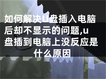 如何解決U盤插入電腦后卻不顯示的問題,u盤插到電腦上沒反應是什么原因