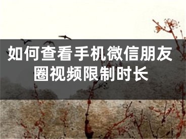 如何查看手機微信朋友圈視頻限制時長