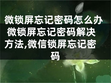 微鎖屏忘記密碼怎么辦 微鎖屏忘記密碼解決方法,微信鎖屏忘記密碼