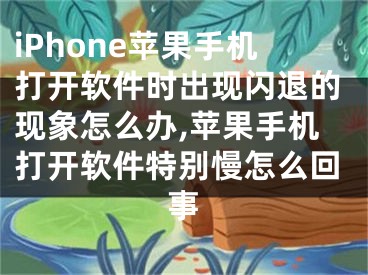 iPhone蘋果手機(jī)打開軟件時(shí)出現(xiàn)閃退的現(xiàn)象怎么辦,蘋果手機(jī)打開軟件特別慢怎么回事