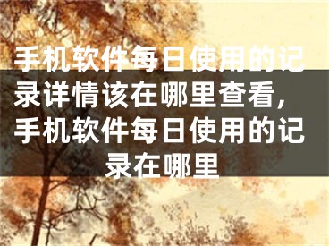 手機軟件每日使用的記錄詳情該在哪里查看,手機軟件每日使用的記錄在哪里