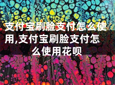 支付寶刷臉支付怎么使用,支付寶刷臉支付怎么使用花唄