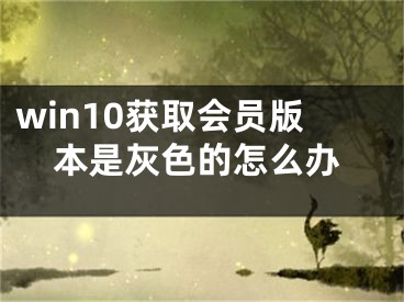 win10獲取會員版本是灰色的怎么辦