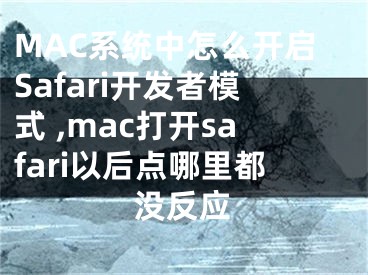 MAC系統(tǒng)中怎么開啟Safari開發(fā)者模式 ,mac打開safari以后點(diǎn)哪里都沒反應(yīng)