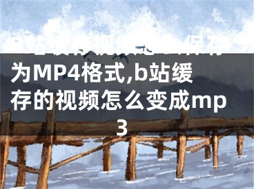 B站緩存視頻怎么保存為MP4格式,b站緩存的視頻怎么變成mp3