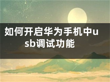 如何開啟華為手機(jī)中usb調(diào)試功能