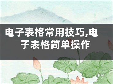 電子表格常用技巧,電子表格簡單操作