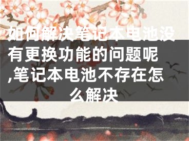 如何解決筆記本電池沒有更換功能的問題呢 ,筆記本電池不存在怎么解決