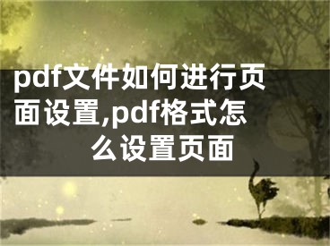 pdf文件如何進(jìn)行頁(yè)面設(shè)置,pdf格式怎么設(shè)置頁(yè)面