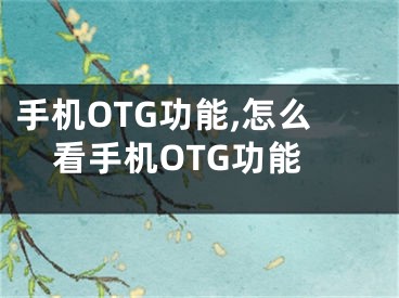 手機(jī)OTG功能,怎么看手機(jī)OTG功能