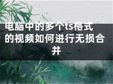 電腦中的多個(gè)ts格式的視頻如何進(jìn)行無損合并