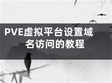 PVE虛擬平臺設(shè)置域名訪問的教程