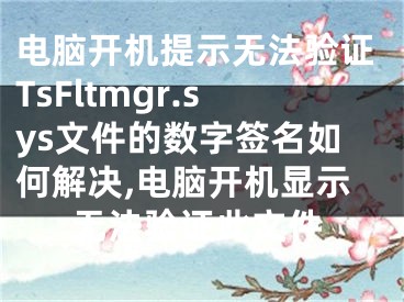 電腦開機提示無法驗證TsFltmgr.sys文件的數(shù)字簽名如何解決,電腦開機顯示無法驗證此文件