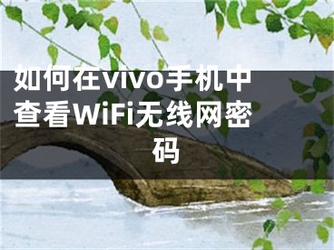 如何在vivo手機(jī)中查看WiFi無線網(wǎng)密碼