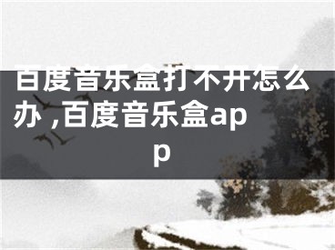 百度音樂(lè)盒打不開怎么辦 ,百度音樂(lè)盒app