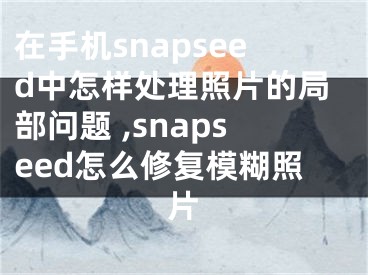 在手機snapseed中怎樣處理照片的局部問題 ,snapseed怎么修復(fù)模糊照片