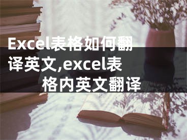 Excel表格如何翻譯英文,excel表格內(nèi)英文翻譯