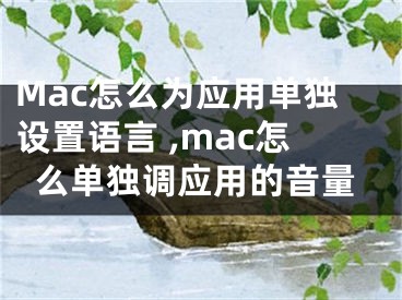 Mac怎么為應(yīng)用單獨(dú)設(shè)置語(yǔ)言 ,mac怎么單獨(dú)調(diào)應(yīng)用的音量