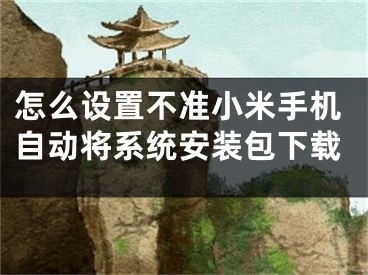 怎么設(shè)置不準(zhǔn)小米手機(jī)自動(dòng)將系統(tǒng)安裝包下載