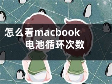 怎么看macbook電池循環(huán)次數(shù)