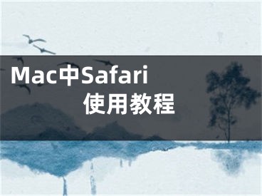 Mac中Safari使用教程