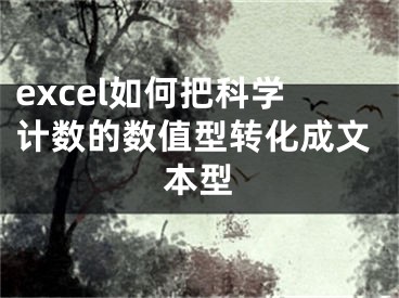 excel如何把科學計數(shù)的數(shù)值型轉化成文本型