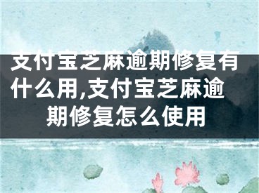 支付寶芝麻逾期修復(fù)有什么用,支付寶芝麻逾期修復(fù)怎么使用