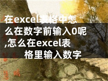 在excel表格中怎么在數(shù)字前輸入0呢 ,怎么在excel表格里輸入數(shù)字