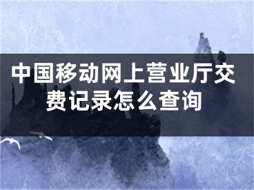 中國移動網(wǎng)上營業(yè)廳交費記錄怎么查詢