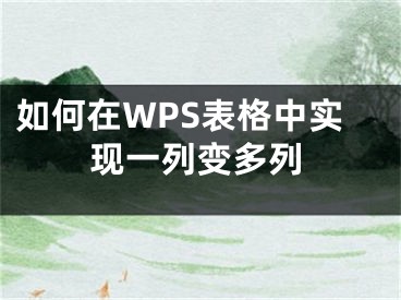 如何在WPS表格中實(shí)現(xiàn)一列變多列