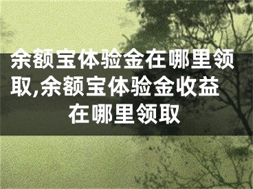 余額寶體驗(yàn)金在哪里領(lǐng)取,余額寶體驗(yàn)金收益在哪里領(lǐng)取