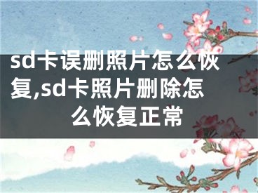 sd卡誤刪照片怎么恢復(fù),sd卡照片刪除怎么恢復(fù)正常