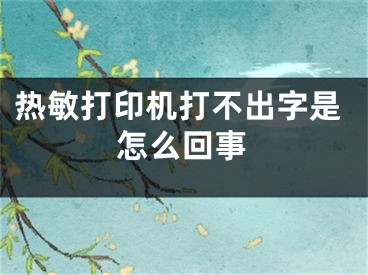 熱敏打印機打不出字是怎么回事