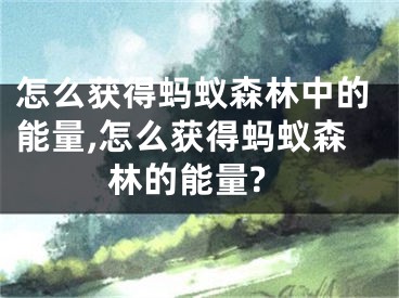 怎么獲得螞蟻森林中的能量,怎么獲得螞蟻森林的能量?