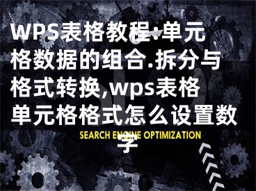 WPS表格教程:單元格數(shù)據(jù)的組合.拆分與格式轉(zhuǎn)換,wps表格單元格格式怎么設(shè)置數(shù)字