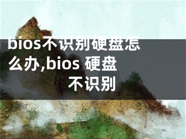 bios不識(shí)別硬盤(pán)怎么辦,bios 硬盤(pán)不識(shí)別