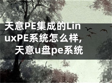 天意PE集成的LinuxPE系統(tǒng)怎么樣,天意u盤pe系統(tǒng)