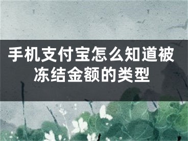 手機(jī)支付寶怎么知道被凍結(jié)金額的類型