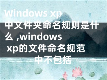 Windows xp中文件夾命名規(guī)則是什么 ,windows xp的文件命名規(guī)范中不包括